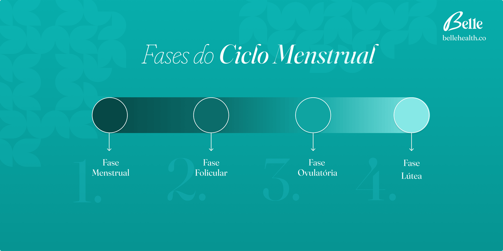 Imagem apresentando as quatro fases do ciclo menstrual: Menstrual, Folicular, Ovulatório e Lútea