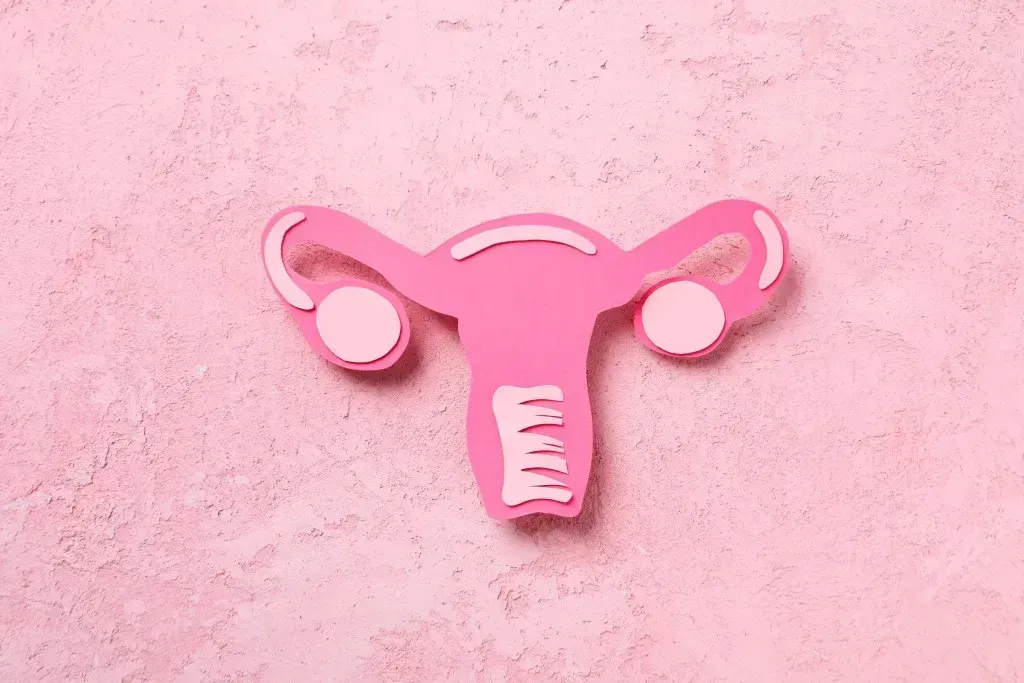 anteverted-uterus-meaning-what-is-it