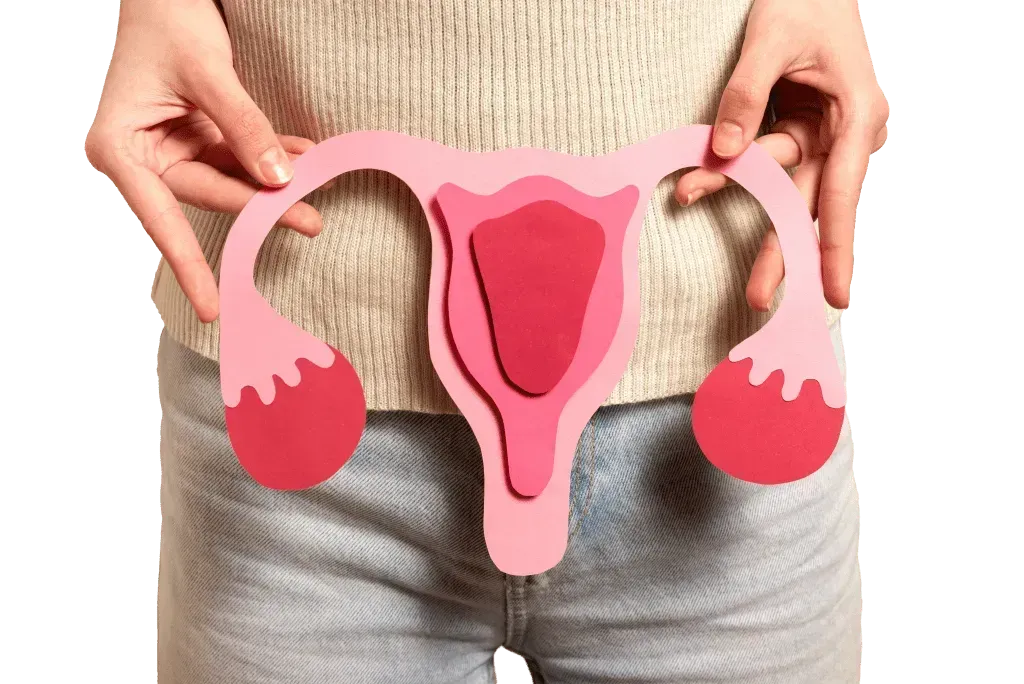 anteverted-uterus-guide