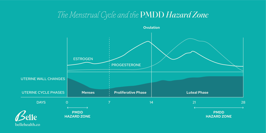 A cycle explanation for PMDD hormones, and how thes hormones can afect PMDD and OCD.
