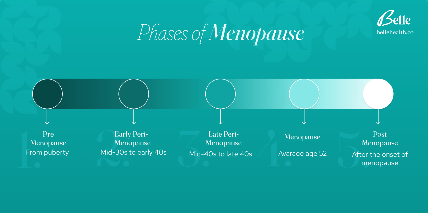 Infographic of the Four Phases of Menopause: Premenopause and early Perimenopause (from puberty to mid-40s) Late Perimenopause (mid to late 40s) Menopause (typically around age 52) Postmenopause (after the onset of menopause) Each phase is represented by a circle along a timeline. 