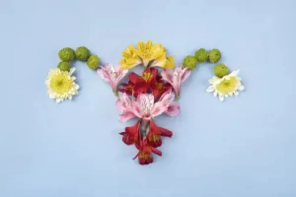 Blumenstillleben in Form einer Gebärmutter – Symbolbild zu Brustschmerzen beim Eisprung und hormonellen Zyklusveränderungen