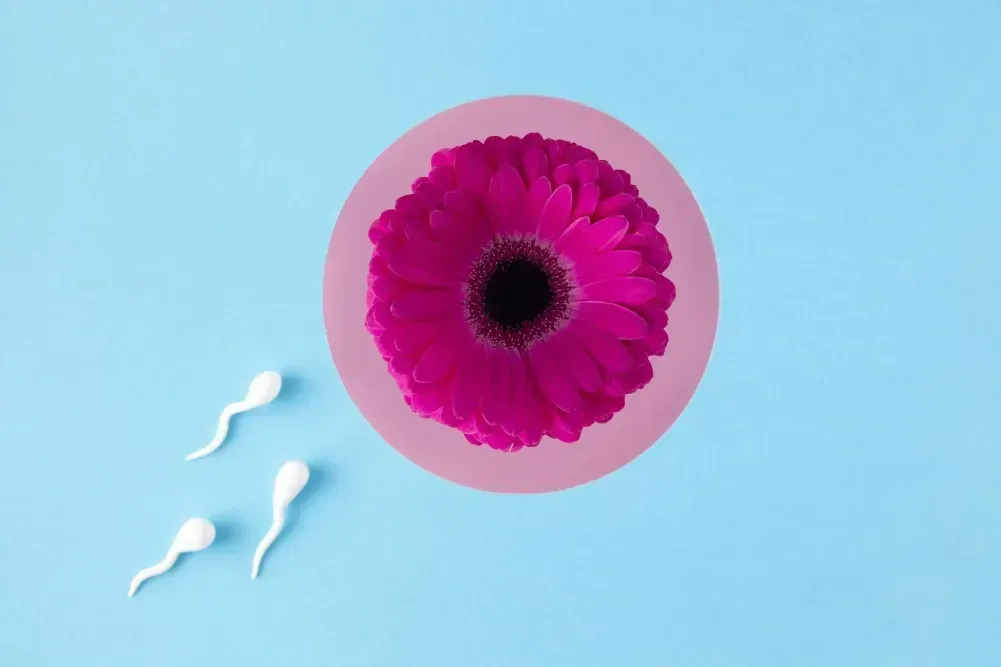 Spermien auf blauem Hintergrund, die auf eine stilisierte Eizelle in Form einer pinken Blume zuschwimmen – Symbolbild zur Frage, wie lange Spermien überleben und befruchtungsfähig bleiben.