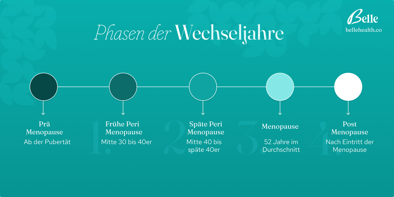 Infografik der vier Phasen der Wechseljahre: 1. Prä- und frühe Perimenopause (ab der Pubertät bis Mitte 40), 2. Späte Perimenopause (Mitte bis späte 40er), 3. Menopause (durchschnittlich im Alter von 52 Jahren), und 4. Postmenopause (nach Eintritt der Menopause). Jede Phase ist durch einen Kreis entlang einer Zeitachse dargestellt.