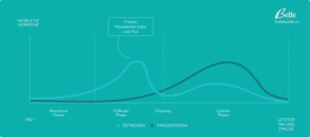 Hormonelle Schwankungen von Östrogen und Progesteron während der Phasen des Menstruationszyklus, von der Menstruationsphase bis zur Lutealphase.