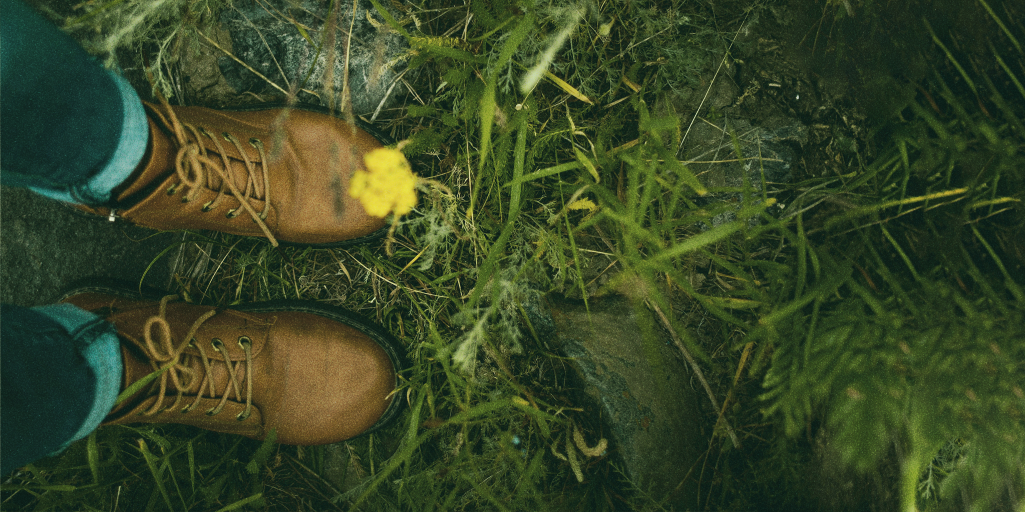 A close-up view of a pair of brown boots standing on lush green grass, with a small yellow flower between them, symbolizing the concept of natural treatments for PMDD.